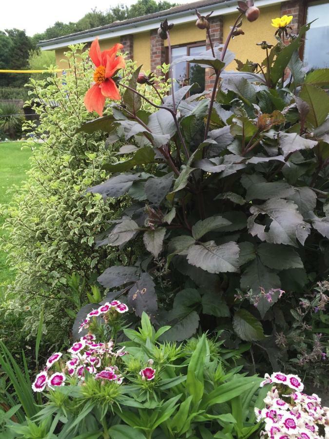 One Slade Gardens Lejlighed The Mumbles Eksteriør billede
